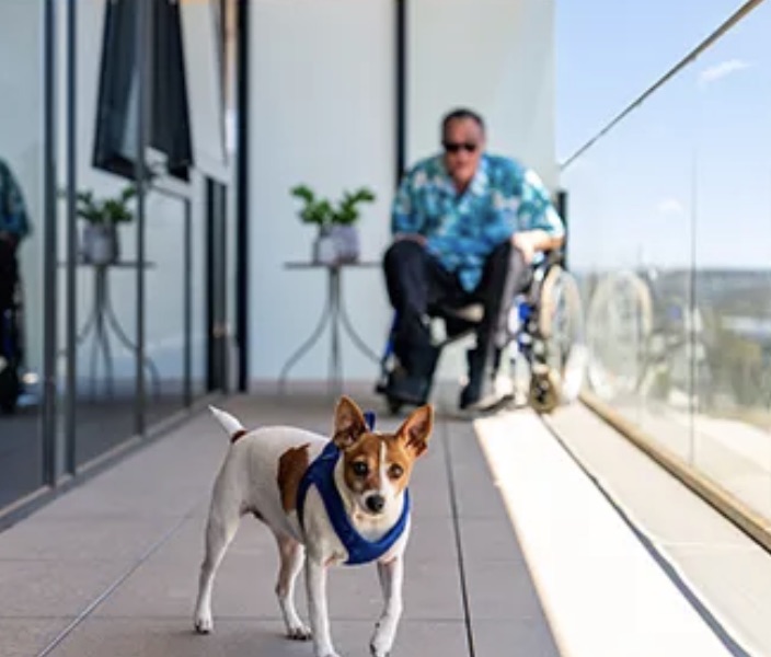 Wheelchair user with a dog on an accessible balcony
